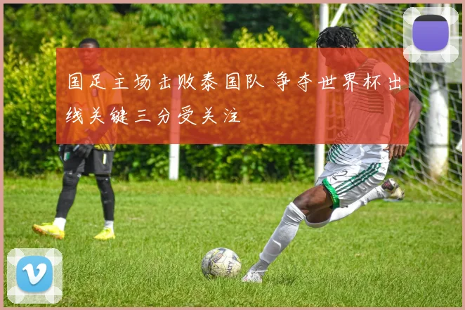 国足主场击败泰国队 争夺世界杯出线关键三分受关注