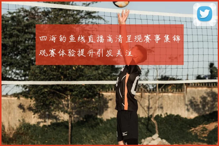 四海钓鱼线直播高清呈现赛事集锦观赛体验提升引发关注
